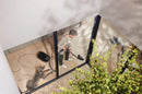 Miele Guard M1 Cat & Dog [Obsidian black] - MLvac.com