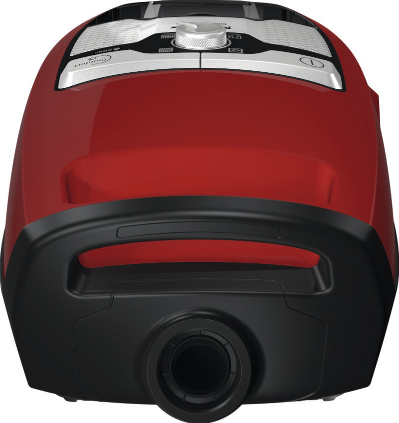 Miele Blizzard CX1 Cat & Dog [Autumn Red] - MLvac.com